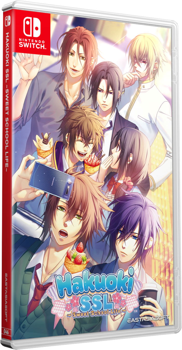 Hakuoki SSL Sweet School Life Limited Edition Switch 