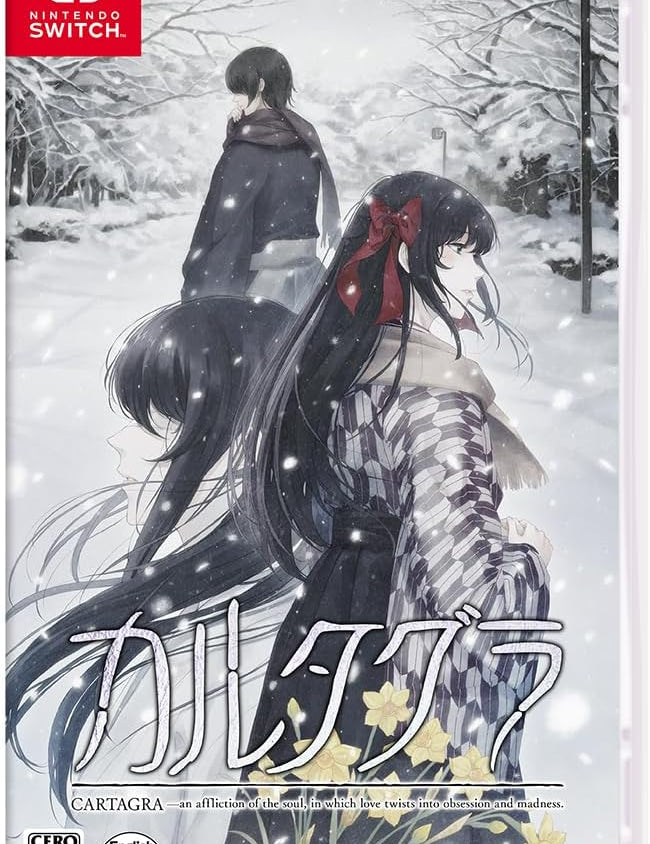 Game box for Nintendo Switch with anime-style characters in a snowy landscape