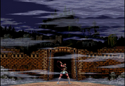 Castlevania-Anniversary-Collection-NSW-bazaar-bazaar-com-4