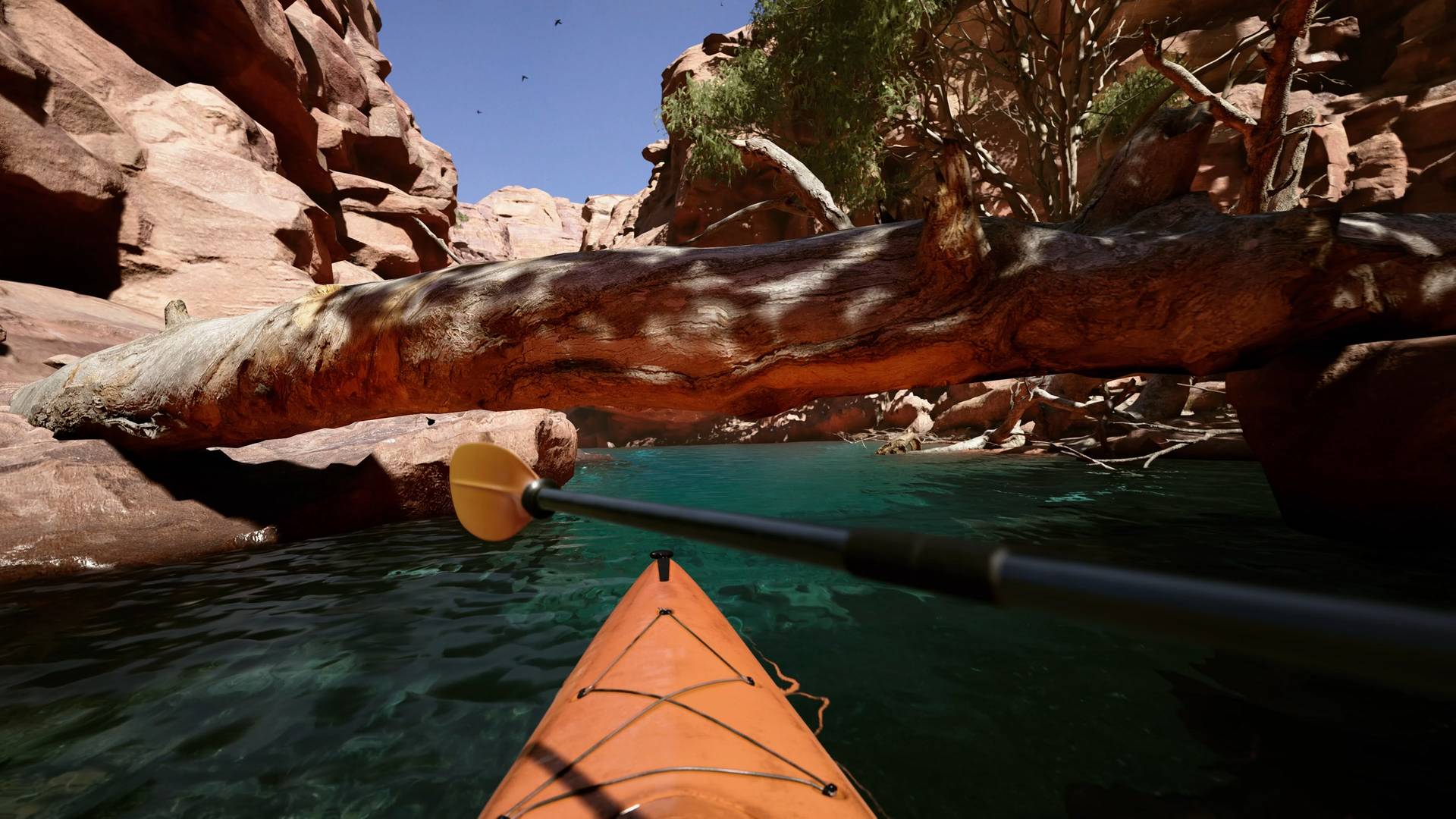 Kayak VR Mirage Ps5