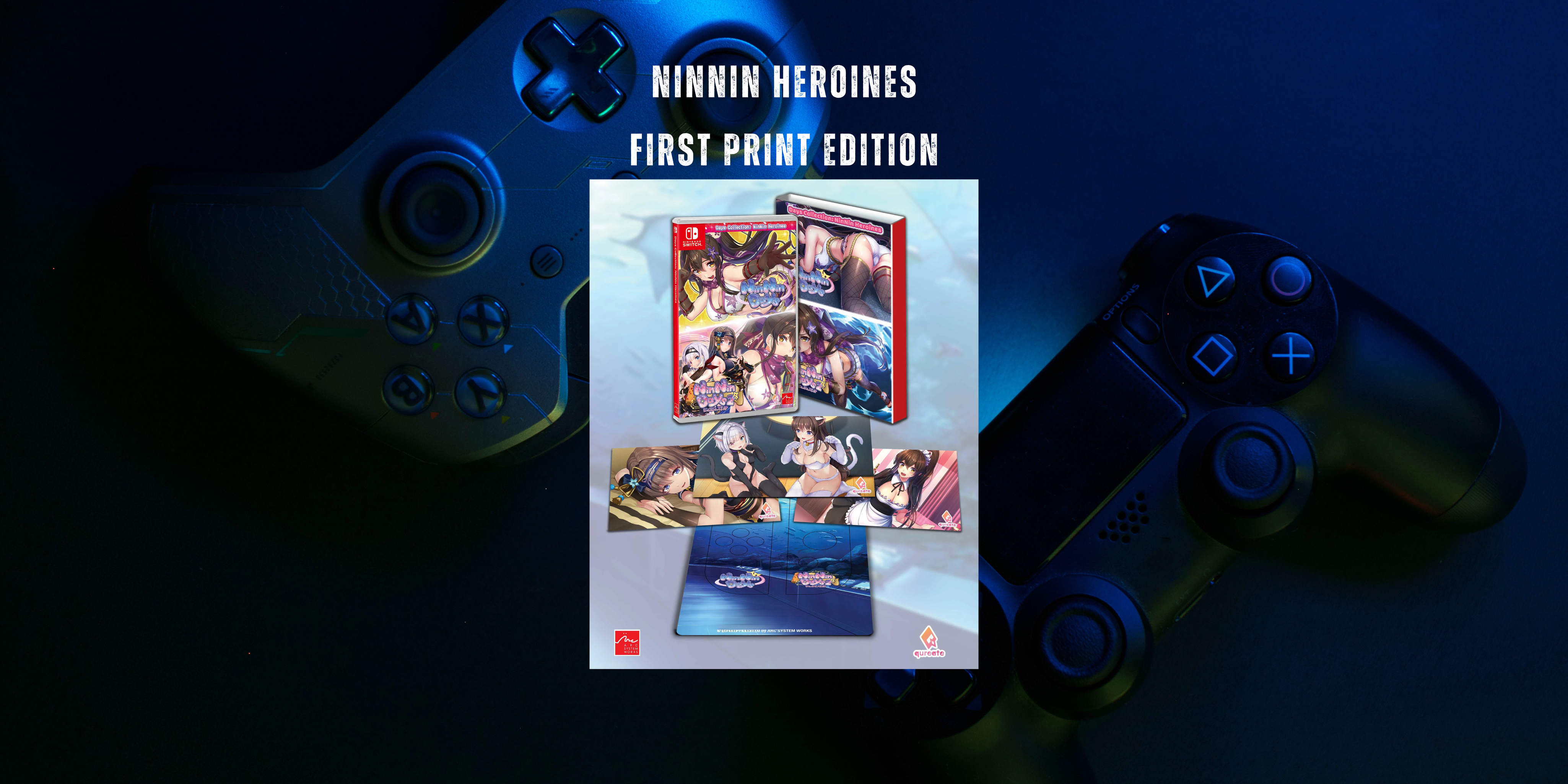NinNin_Heroines_Nsw.png