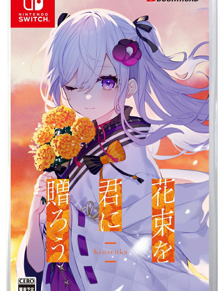 Game case for Nintendo Switch with an animated character and Japanese text on a pink and orange gradient background.