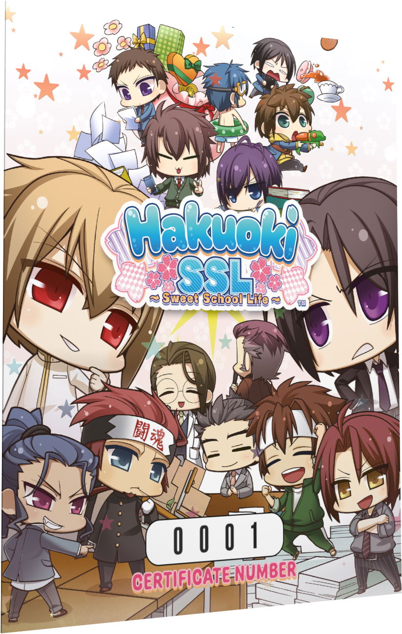 Hakuoki SSL Sweet School Life Limited Edition Switch 