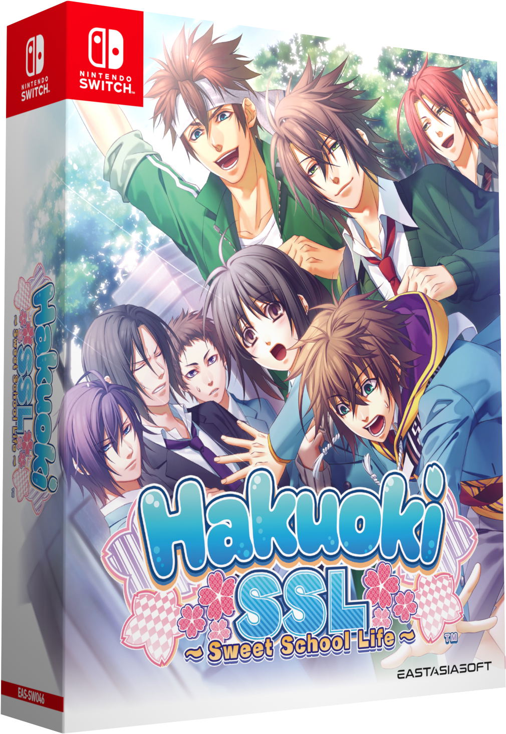 Hakuoki SSL Sweet School Life Limited Edition Switch 