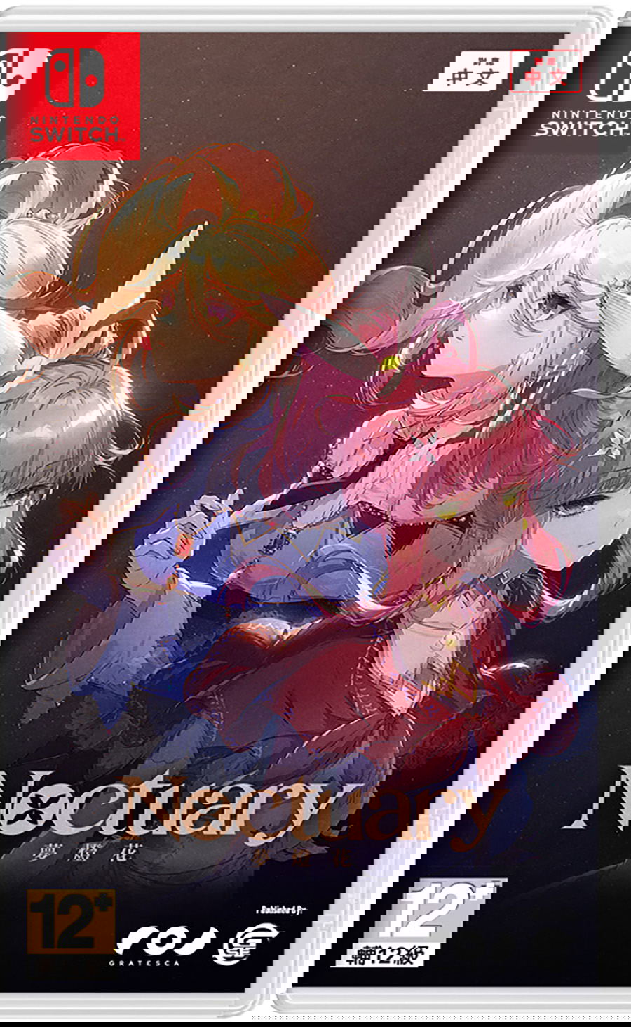 Game box for 'Noctuary' on Nintendo Switch with two animated characters on a dark background.