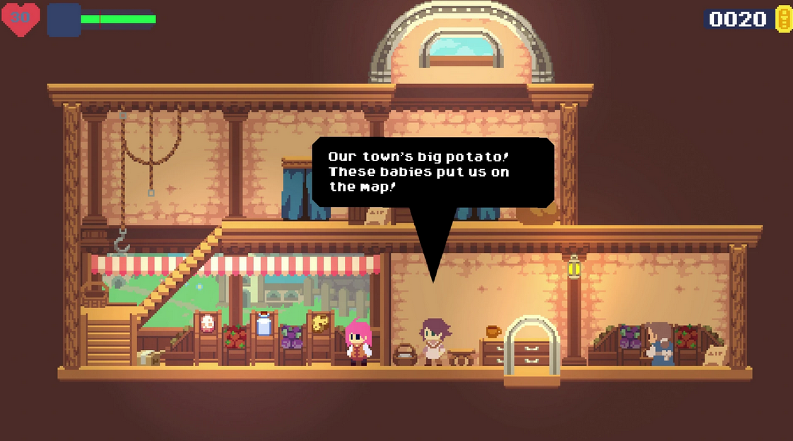 Phoenotopia-Awakening- Switch-bazaar-bazaar-com-2