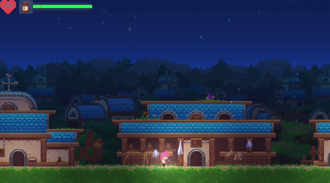 Phoenotopia-Awakening- Switch-bazaar-bazaar-com-4